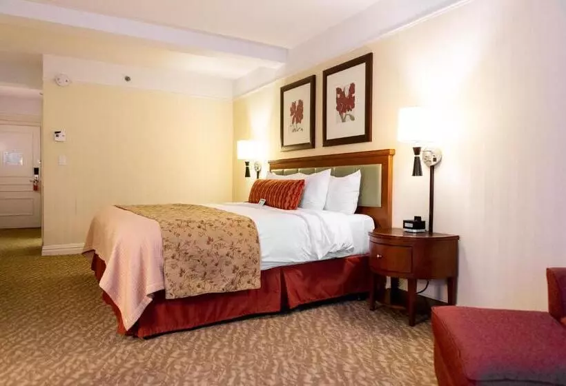 Fotos del hotel San Carlos Hotel New York:  5