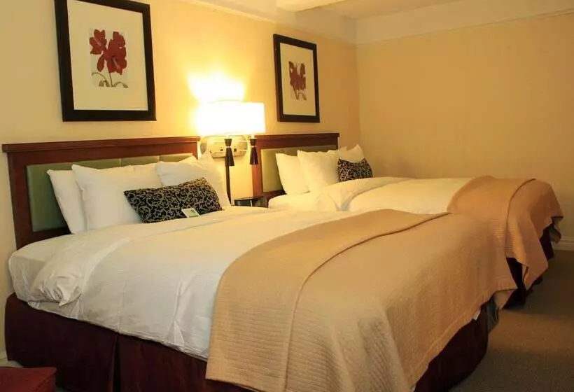 Fotos del hotel San Carlos Hotel New York:  13