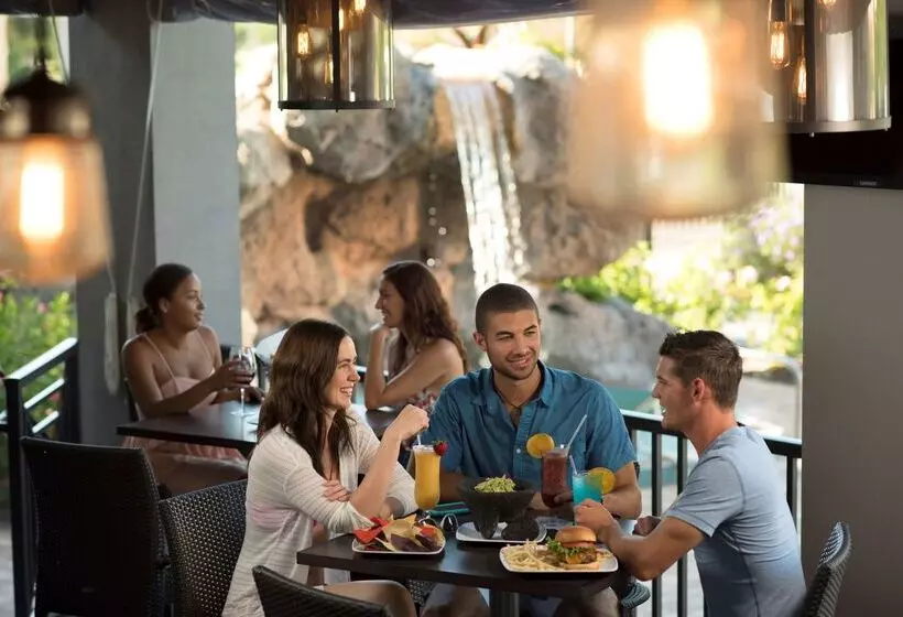 Fotos del hotel Rosen Plaza Hotel Orlando Convention Center:  60