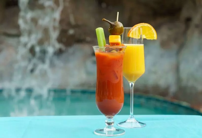 Fotos del hotel Rosen Plaza Hotel Orlando Convention Center:  50