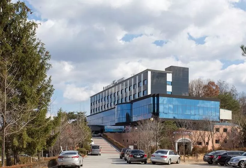 Fotos del hotel Bears Tourist:  7