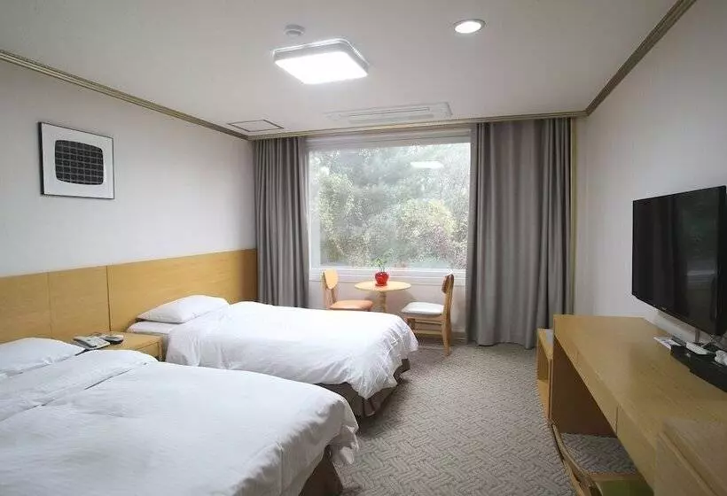 Fotos del hotel Bears Tourist:  2