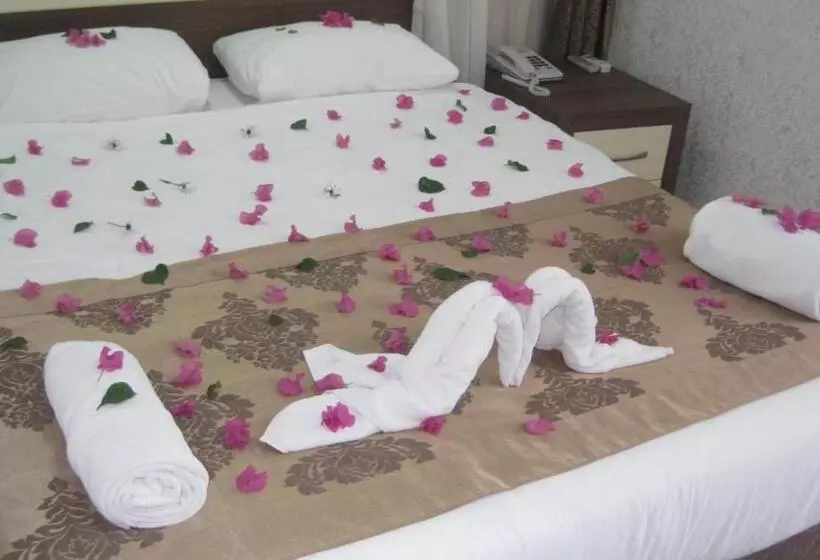 Fotos del hotel Olbia:  18