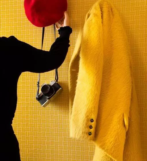 Fotos del hotel Hôtel Artus:  5