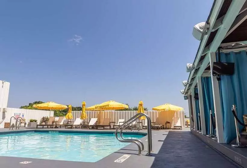 Fotos del hotel Midtown Atlanta, Curio Collection By Hilton:  14