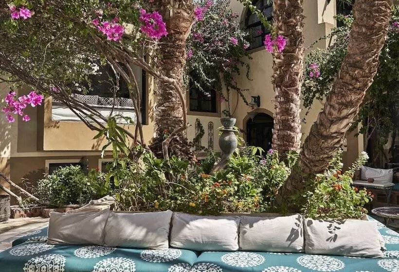 Fotos del hotel Dawar El Omda (adults Only):  21