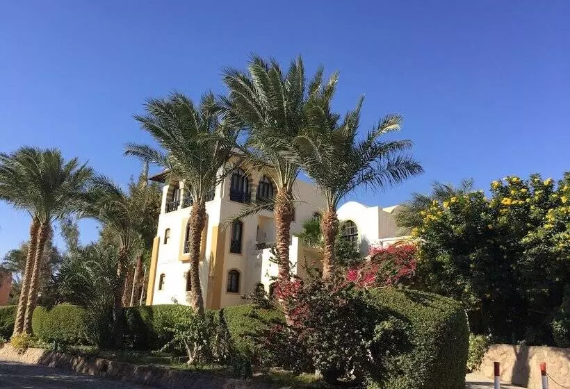 Fotos del hotel Dawar El Omda (adults Only):  18