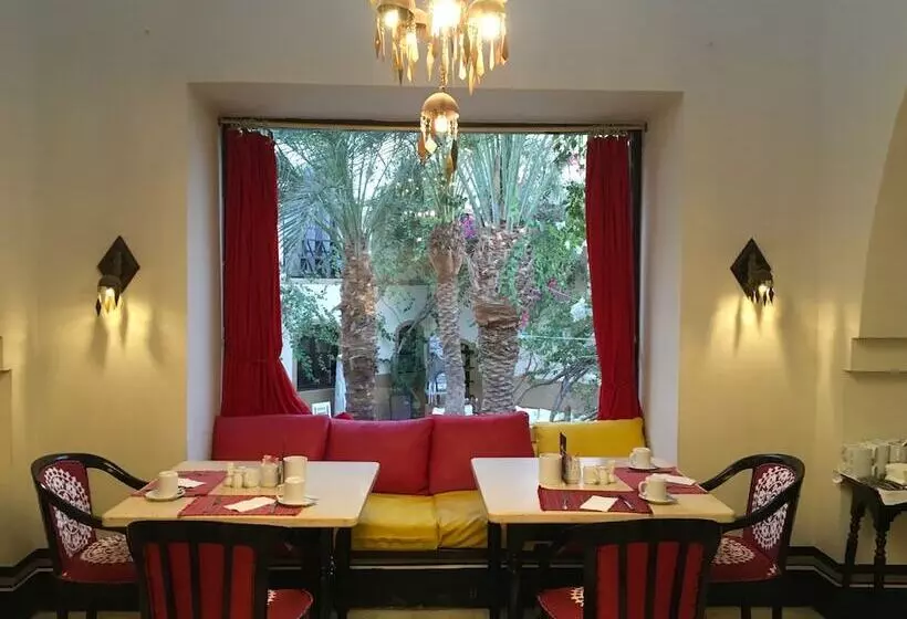 Fotos del hotel Dawar El Omda (adults Only):  16