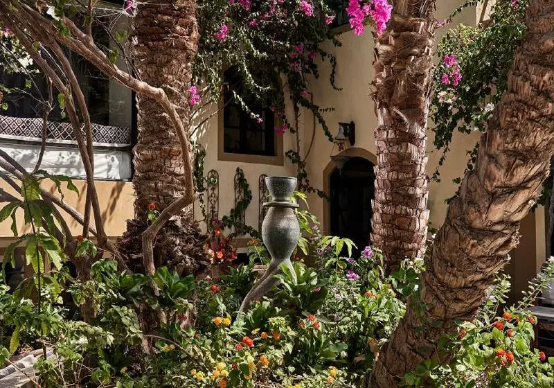 Fotos del hotel Dawar El Omda (adults Only):  22