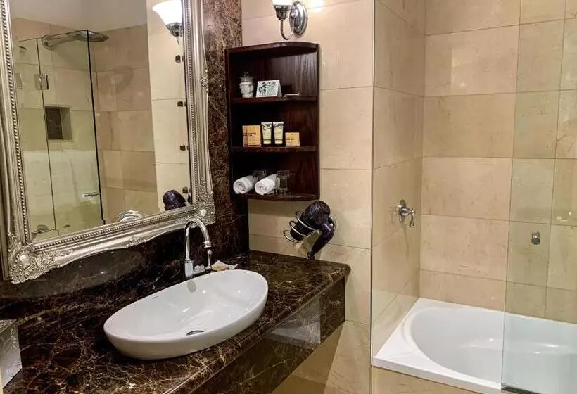 Fotos del hotel Royal Albert:  11