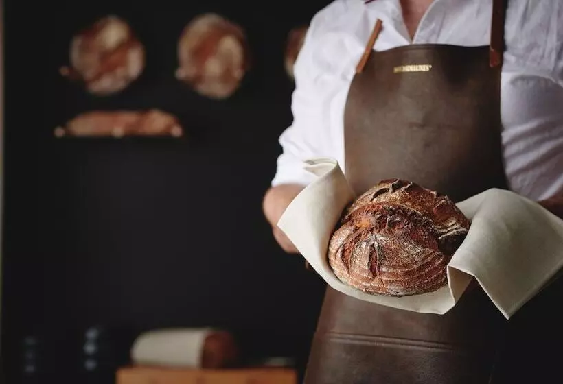 Fotos del hotel Gilbert:  4