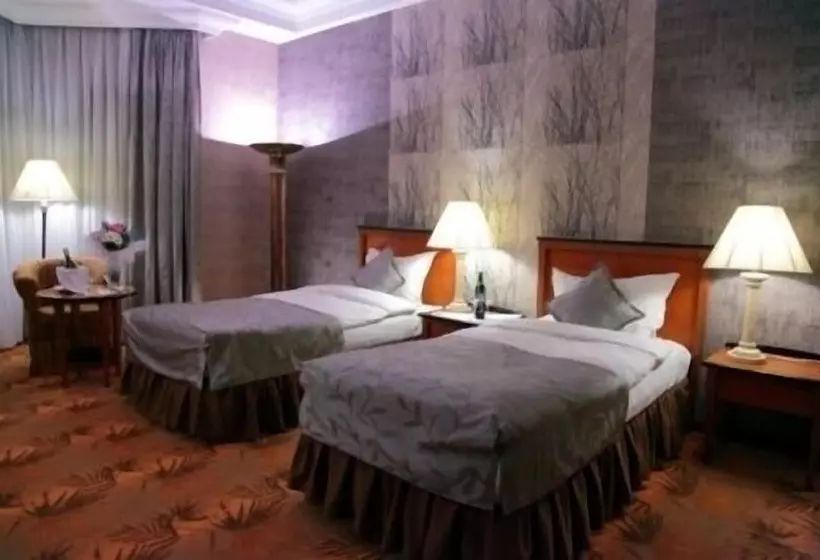 Fotos del hotel Grand Hotel Europe:  12