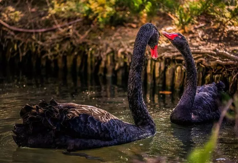 Fotos del hotel Marinela Sofia:  15