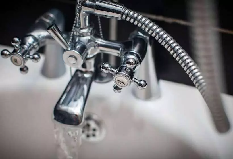 Fotos del hotel Rodney:  18