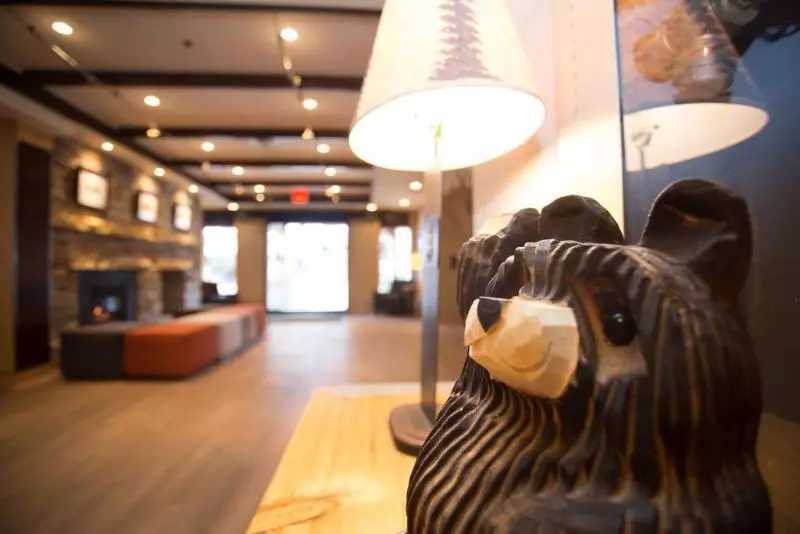 Fotos del hotel Banff Inn:  5