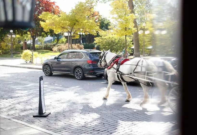 Fotos del hotel Manoir D'auteuil:  21
