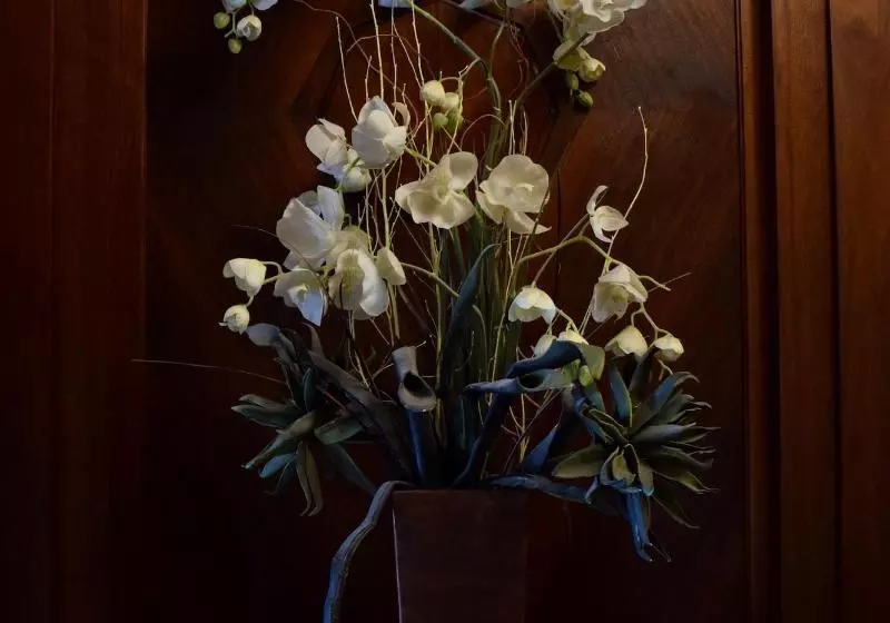 Fotos del hotel Manoir D'auteuil:  6