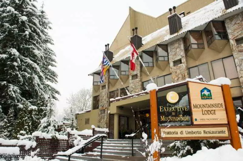 Fotos del hotel Mountainside Lodge:  4