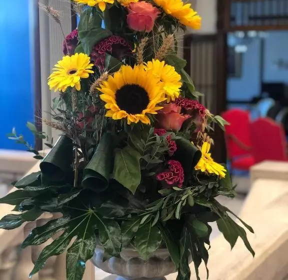 Fotos del hotel Grand Hôtel D'espagne:  21