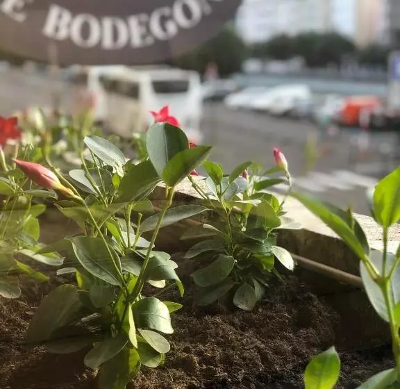 Fotos del hotel Grand Hôtel D'espagne:  15