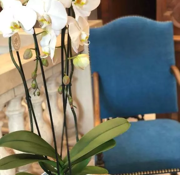 Fotos del hotel Grand Hôtel D'espagne:  9