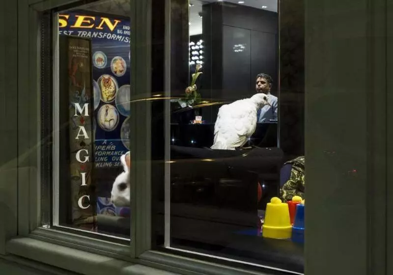 Fotos del hotel Splendor Elysées:  8