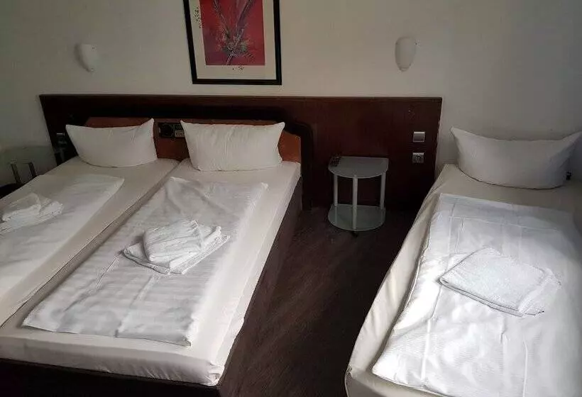 Fotos del hotel Berliner Hof:  8