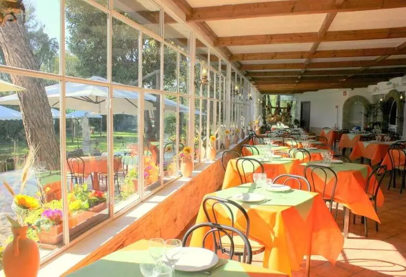 Fotos del hotel Romulus:  20