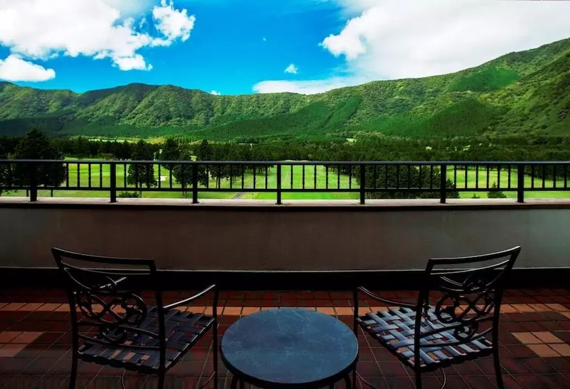 Fotos del hotel Hakone Sengokuhara Prince Hotel:  22