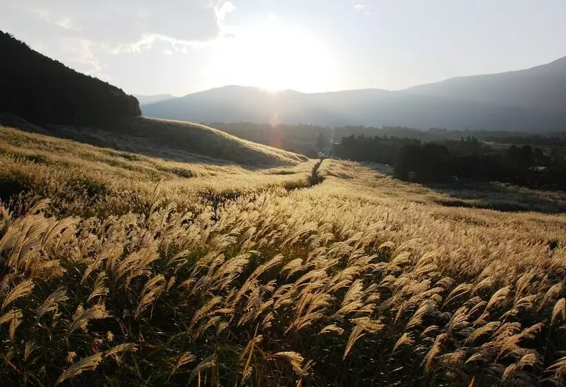 Fotos del hotel Hakone Sengokuhara Prince Hotel:  21