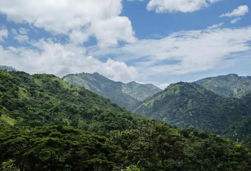 Fotos del hotel Strawberry Hill:  12