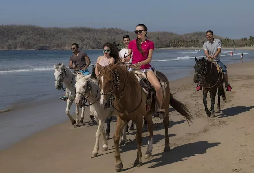 Fotos del hotel Los Angeles Locos  All Inclusive:  42