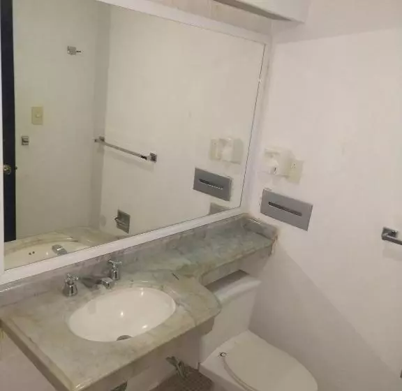 Fotos del hotel Maya Tabasco:  7