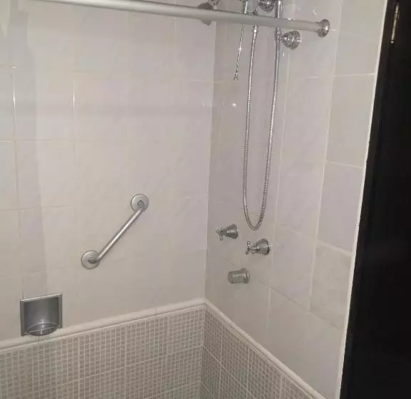 Fotos del hotel Maya Tabasco:  17