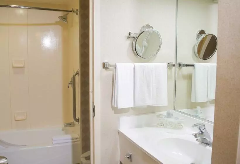 Fotos del hotel Holiday Inn Express Monterrey Galeriassan Jeronimo, An Ihg:  16