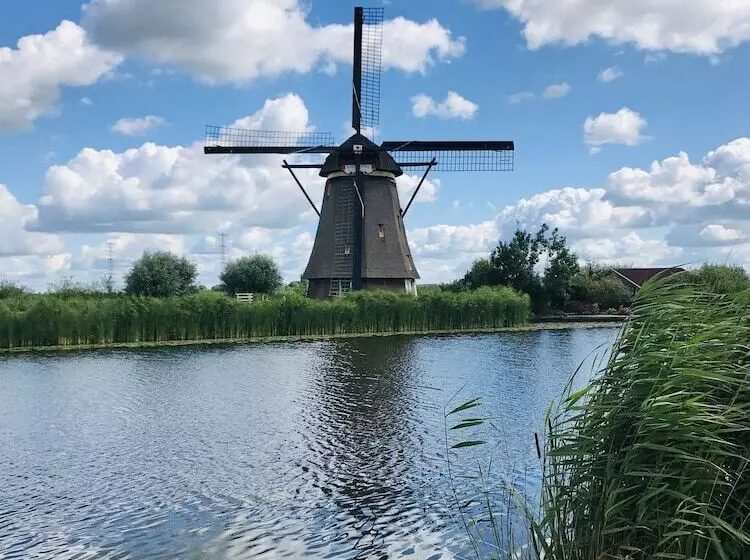 Fotos del hotel Novotel Rotterdam Brainpark:  7