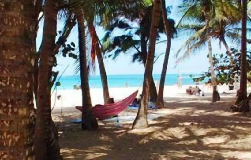 Fotos del hotel Acacia Boutique:  25