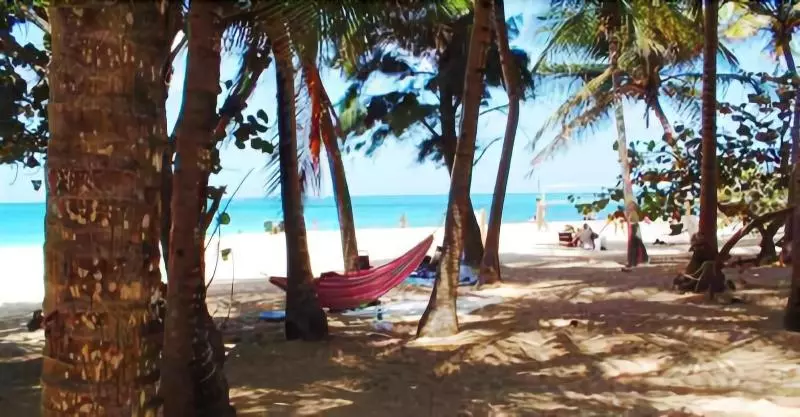 Fotos del hotel Acacia Boutique:  16