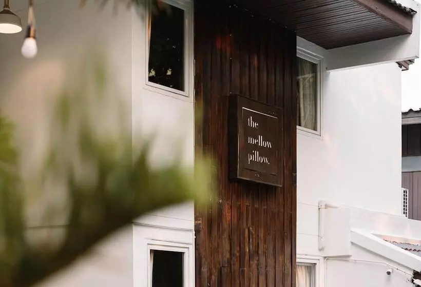 Fotos del hotel The Mellow Pillow At Chiang Mai Gate:  22