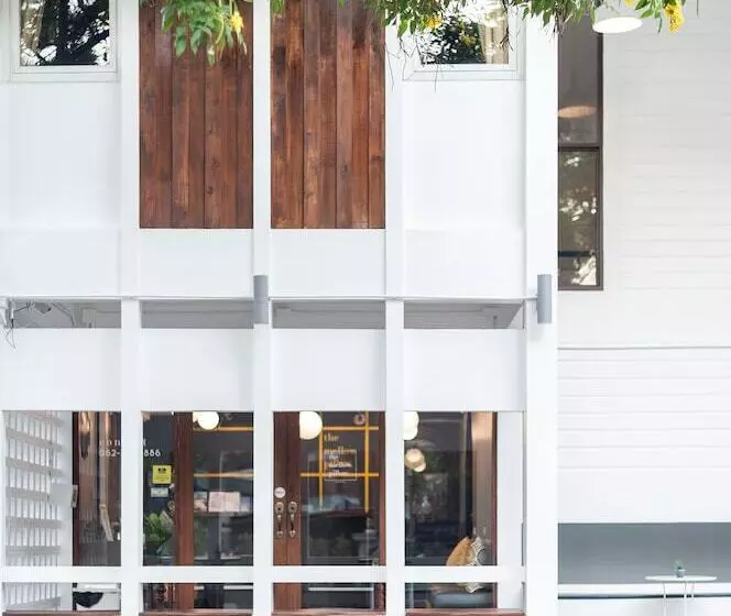 Fotos del hotel The Mellow Pillow At Chiang Mai Gate:  21