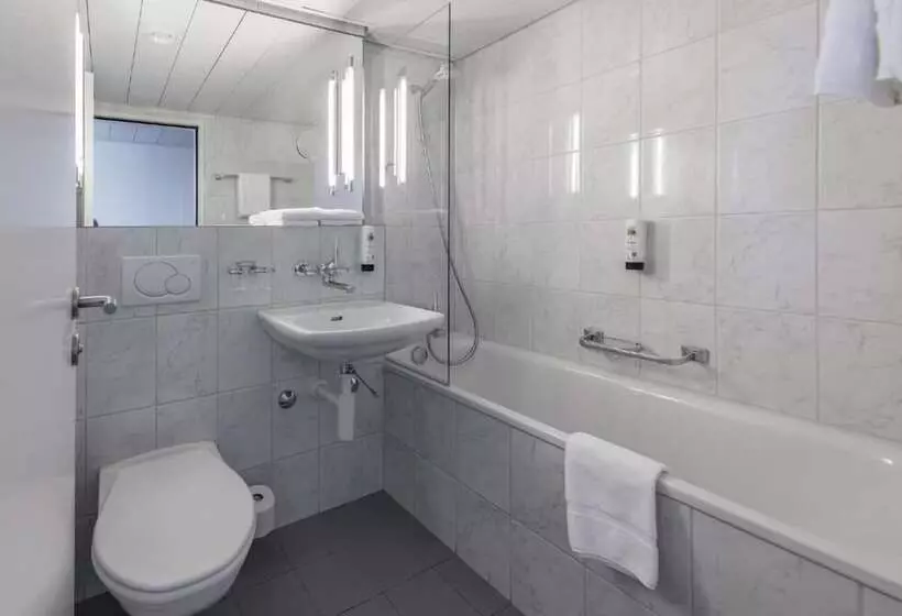 Fotos del hotel Royal Hotel Zurich:  6