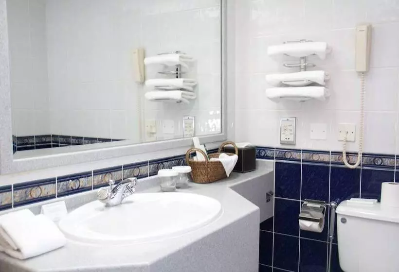 Fotos del hotel Aravi Dubai:  23