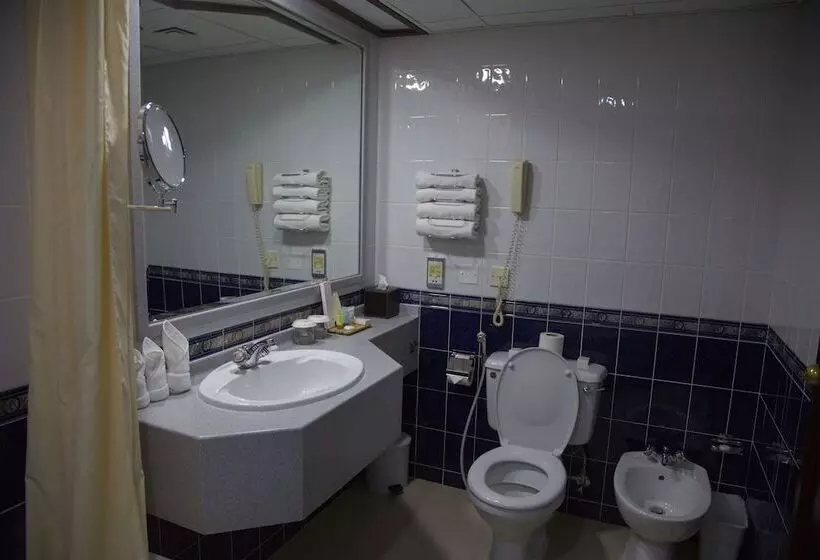 Fotos del hotel Aravi Dubai:  25