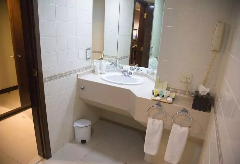 Fotos del hotel Aravi Dubai:  49