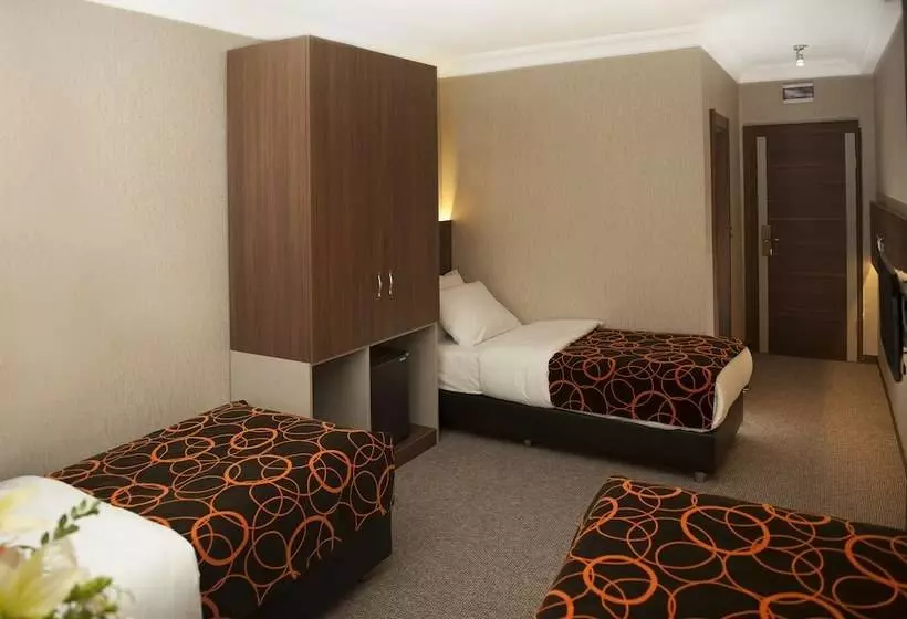 Fotos del hotel Birbey:  20