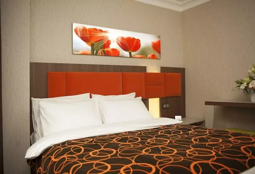 Fotos del hotel Birbey:  12