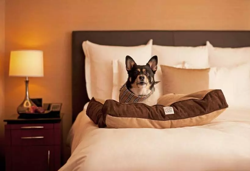 Fotos del hotel Hyatt Place Atlanta Buckhead:  24