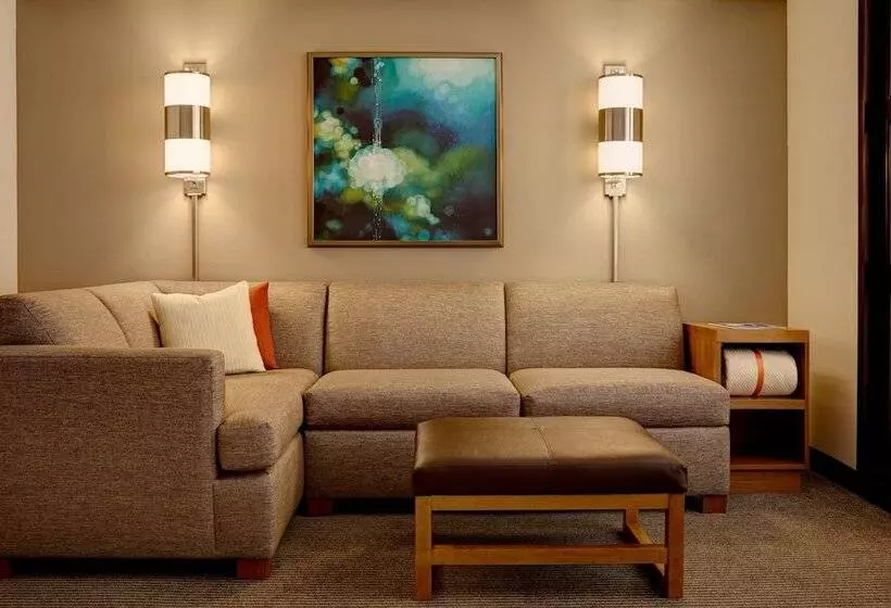 Fotos del hotel Hyatt Place Atlanta Buckhead:  20