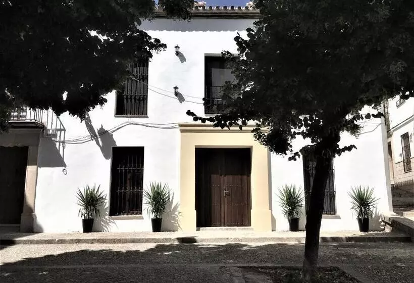 Fotos del hotel Ronda Nuevo:  15