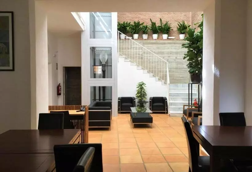 Fotos del hotel Ronda Nuevo:  14